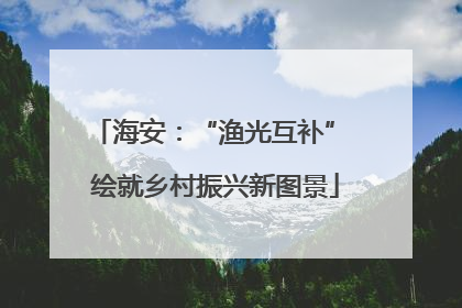 海安：“渔光互补” 绘就乡村振兴新图景