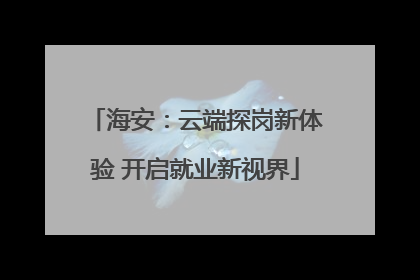 海安：云端探岗新体验 开启就业新视界