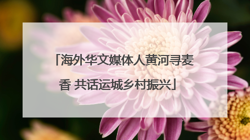 海外华文媒体人黄河寻麦香 共话运城乡村振兴