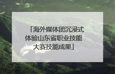 海外媒体团沉浸式体验山东省职业技能大赛技能成果