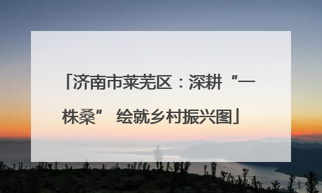 济南市莱芜区：深耕“一株桑” 绘就乡村振兴图