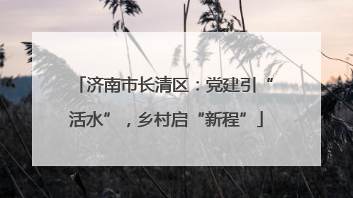济南市长清区：党建引“活水”，乡村启“新程”