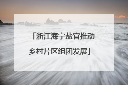 浙江海宁盐官推动乡村片区组团发展