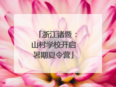 浙江诸暨：山村学校开启暑期夏令营
