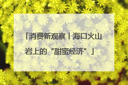 消费新观察丨海口火山岩上的“甜蜜经济”