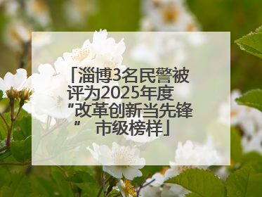 淄博3名民警被评为2025年度“改革创新当先锋” 市级榜样
