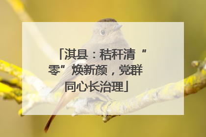 淇县：秸秆清“零”焕新颜，党群同心长治理
