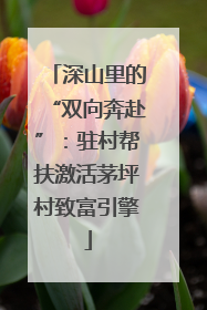 深山里的“双向奔赴”：驻村帮扶激活茅坪村致富引擎