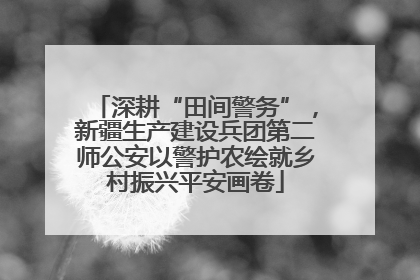深耕“田间警务”，新疆生产建设兵团第二师公安以警护农绘就乡村振兴平安画卷