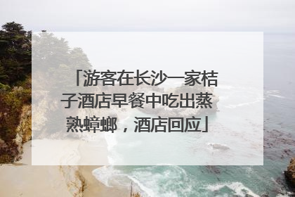 游客在长沙一家桔子酒店早餐中吃出蒸熟蟑螂，酒店回应