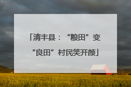 清丰县：“粮田”变“良田”村民笑开颜