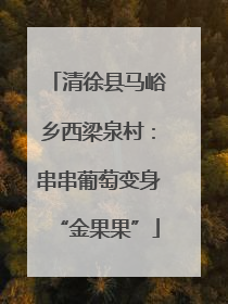 清徐县马峪乡西梁泉村：串串葡萄变身“金果果”