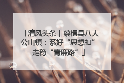 清风头条｜桑植县八大公山镇：系好“思想扣” 走稳“青廉路”
