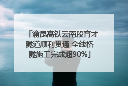 渝昆高铁云南段育才隧道顺利贯通 全线桥隧施工完成超90%