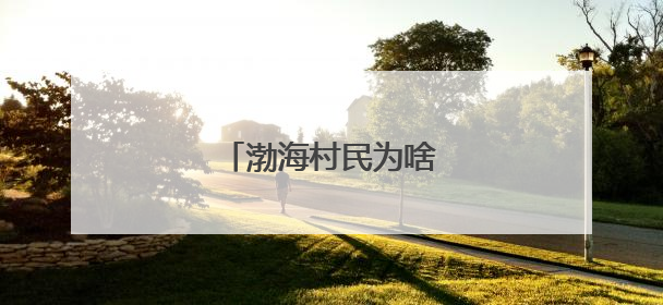 渤海村民为啥爱扫这个码？
