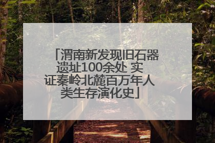 渭南新发现旧石器遗址100余处 实证秦岭北麓百万年人类生存演化史