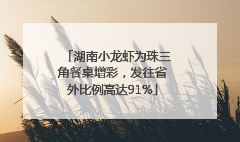 湖南小龙虾为珠三角餐桌增彩，发往省外比例高达91%