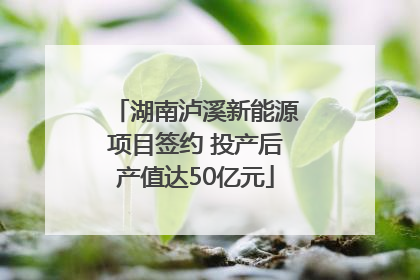 湖南泸溪新能源项目签约 投产后产值达50亿元