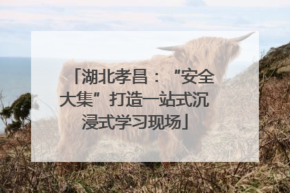 湖北孝昌：“安全大集”打造一站式沉浸式学习现场