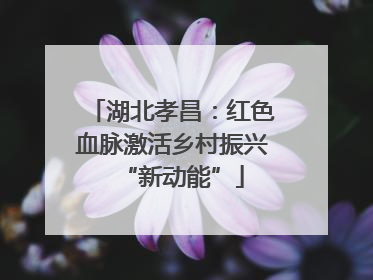 湖北孝昌：红色血脉激活乡村振兴“新动能”