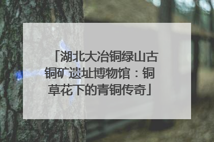 湖北大冶铜绿山古铜矿遗址博物馆：铜草花下的青铜传奇