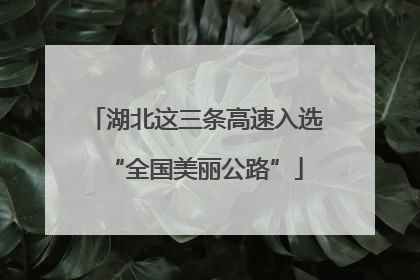 湖北这三条高速入选“全国美丽公路”