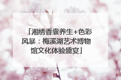 湘绣香囊养生+色彩风暴：梅溪湖艺术博物馆文化体验盛宴
