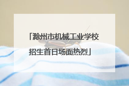 滁州市机械工业学校招生首日场面热烈