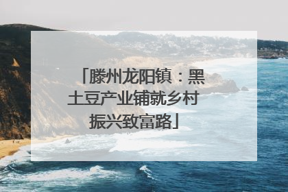 滕州龙阳镇：黑土豆产业铺就乡村振兴致富路