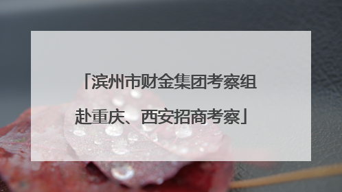 滨州市财金集团考察组赴重庆、西安招商考察