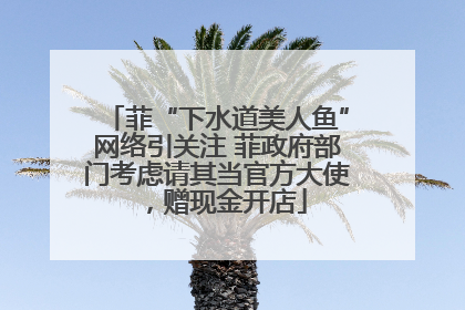 菲“下水道美人鱼”网络引关注 菲政府部门考虑请其当官方大使，赠现金开店