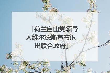 荷兰自由党领导人维尔德斯宣布退出联合政府