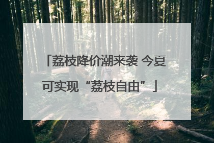 荔枝降价潮来袭 今夏可实现“荔枝自由”