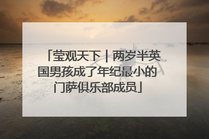 莹观天下｜两岁半英国男孩成了年纪最小的门萨俱乐部成员