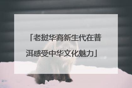 老挝华裔新生代在普洱感受中华文化魅力