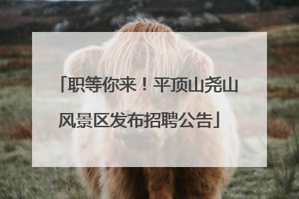 职等你来！平顶山尧山风景区发布招聘公告
