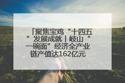 聚焦宝鸡“十四五”发展成就丨岐山“一碗面”经济全产业链产值达162亿元 入选全国典型县