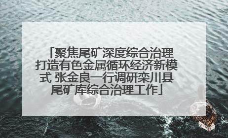 聚焦尾矿深度综合治理 打造有色金属循环经济新模式 张金良一行调研栾川县尾矿库综合治理工作