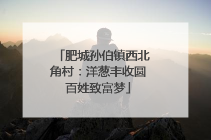 肥城孙伯镇西北角村：洋葱丰收圆百姓致富梦