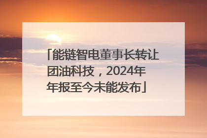 能链智电董事长转让团油科技，2024年年报至今未能发布