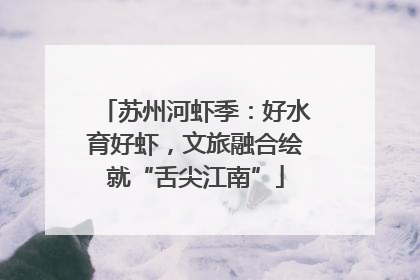 苏州河虾季：好水育好虾，文旅融合绘就“舌尖江南”