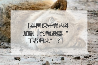 英国保守党内斗加剧，约翰逊要“王者归来”？