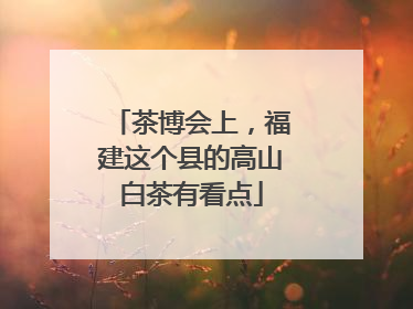 茶博会上，福建这个县的高山白茶有看点