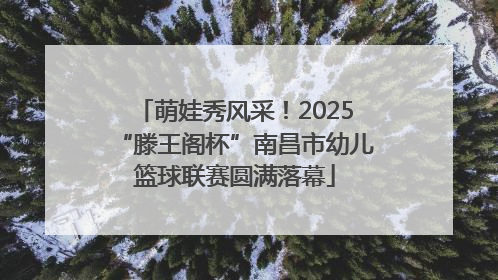 萌娃秀风采！2025“滕王阁杯”南昌市幼儿篮球联赛圆满落幕