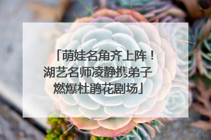 萌娃名角齐上阵！湖艺名师凌静携弟子燃爆杜鹃花剧场