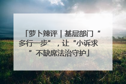 萝卜辣评｜基层部门“多行一步”，让“小诉求”不缺席法治守护