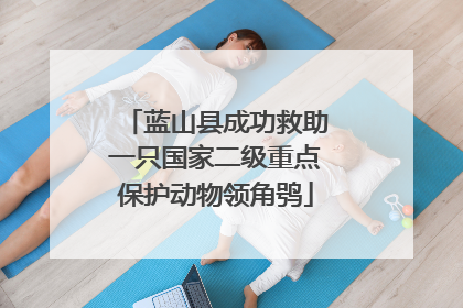 蓝山县成功救助一只国家二级重点保护动物领角鸮