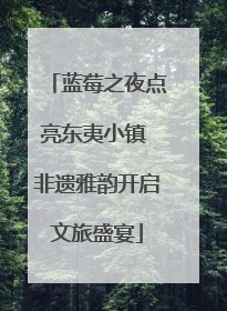 蓝莓之夜点亮东夷小镇 非遗雅韵开启文旅盛宴