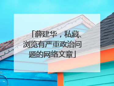 薛建华，私藏、浏览有严重政治问题的网络文章