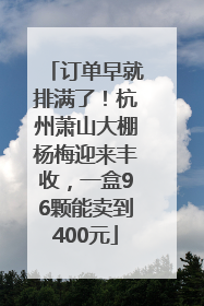 订单早就排满了！杭州萧山大棚杨梅迎来丰收，一盒96颗能卖到400元